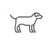 Pet Medical Insurance